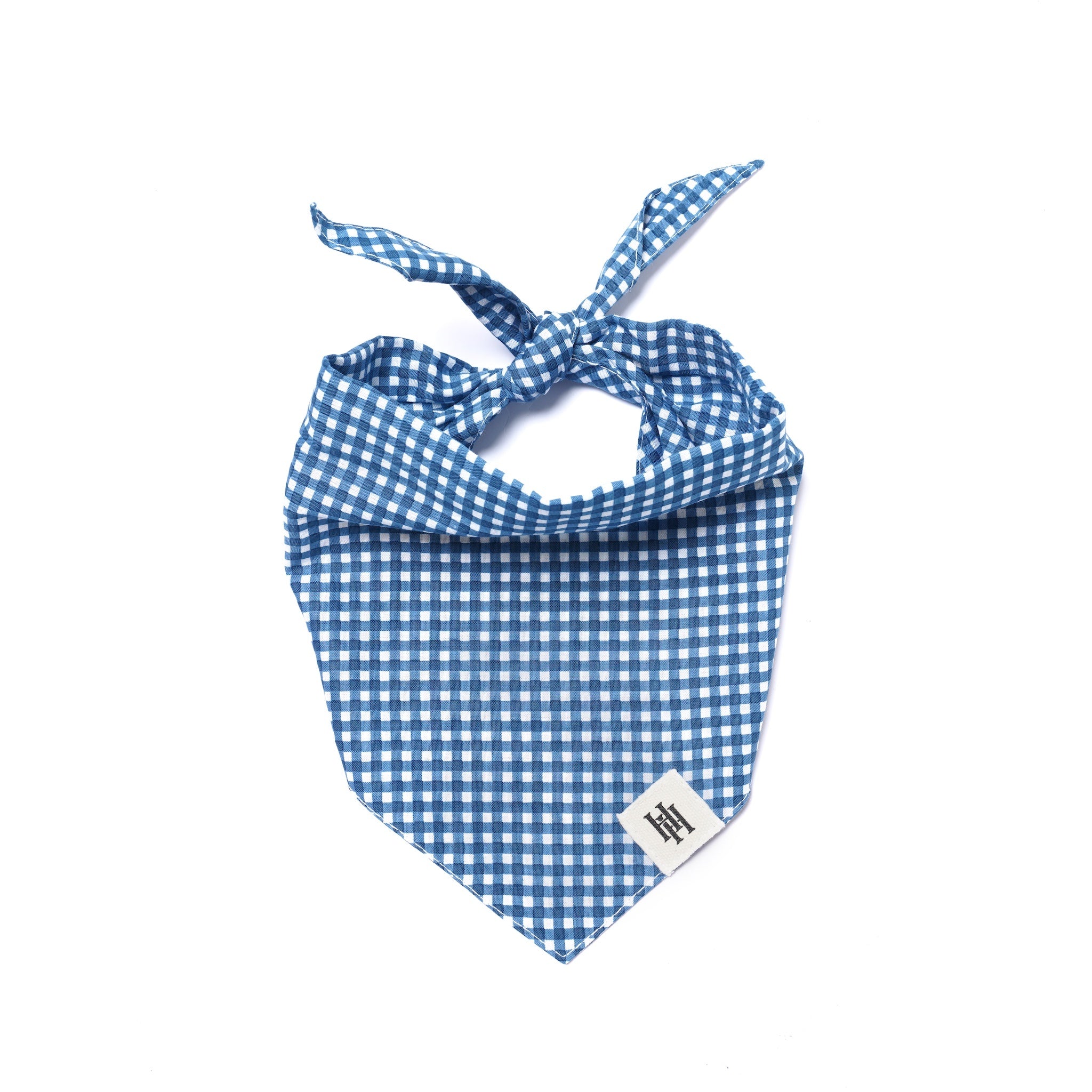 Blue Gingham Bandana