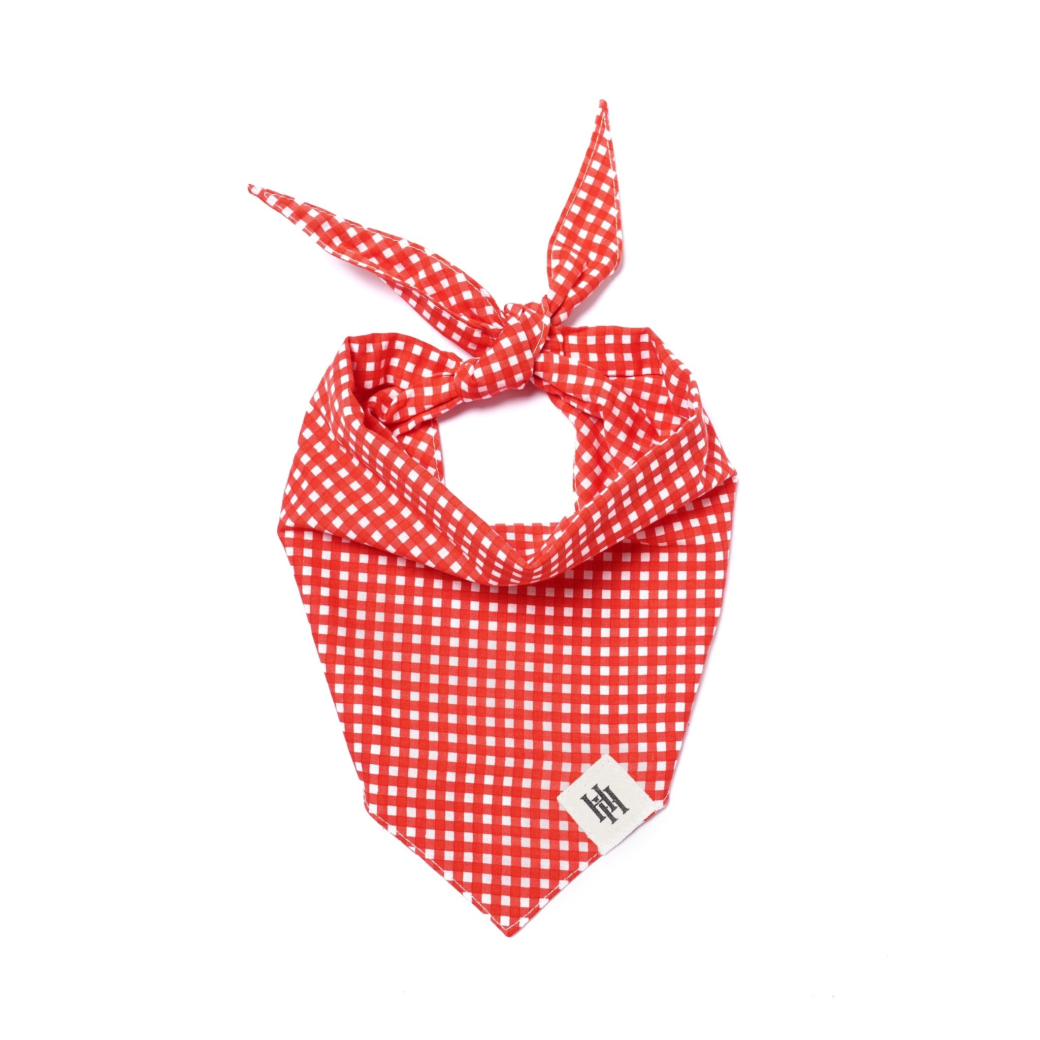 Red Gingham Bandana