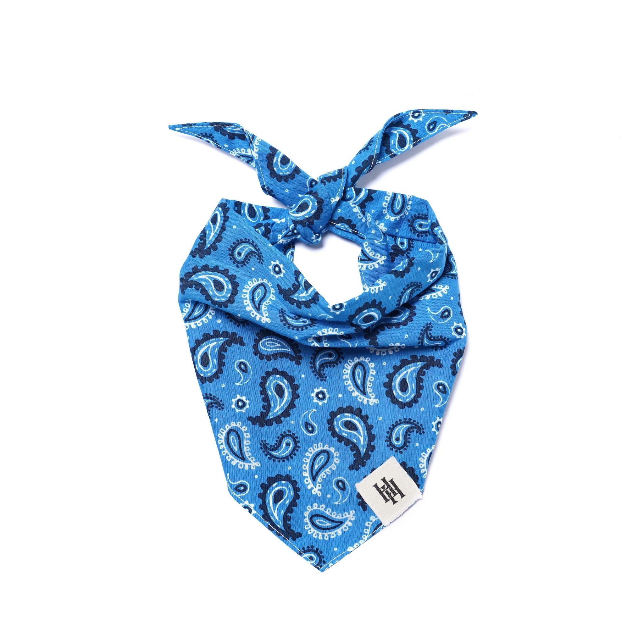 Dallas Bandana