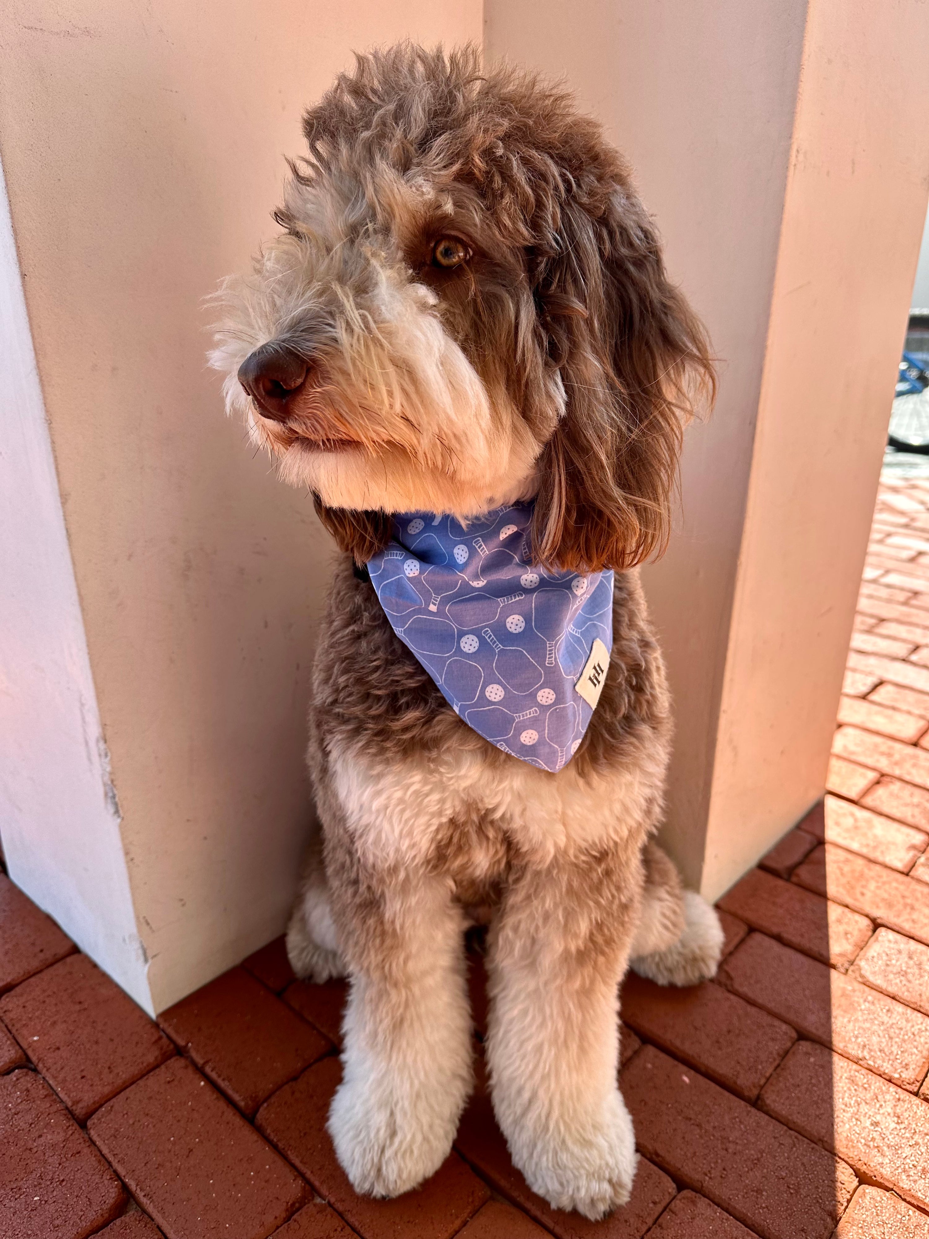 Pickleball Bandana