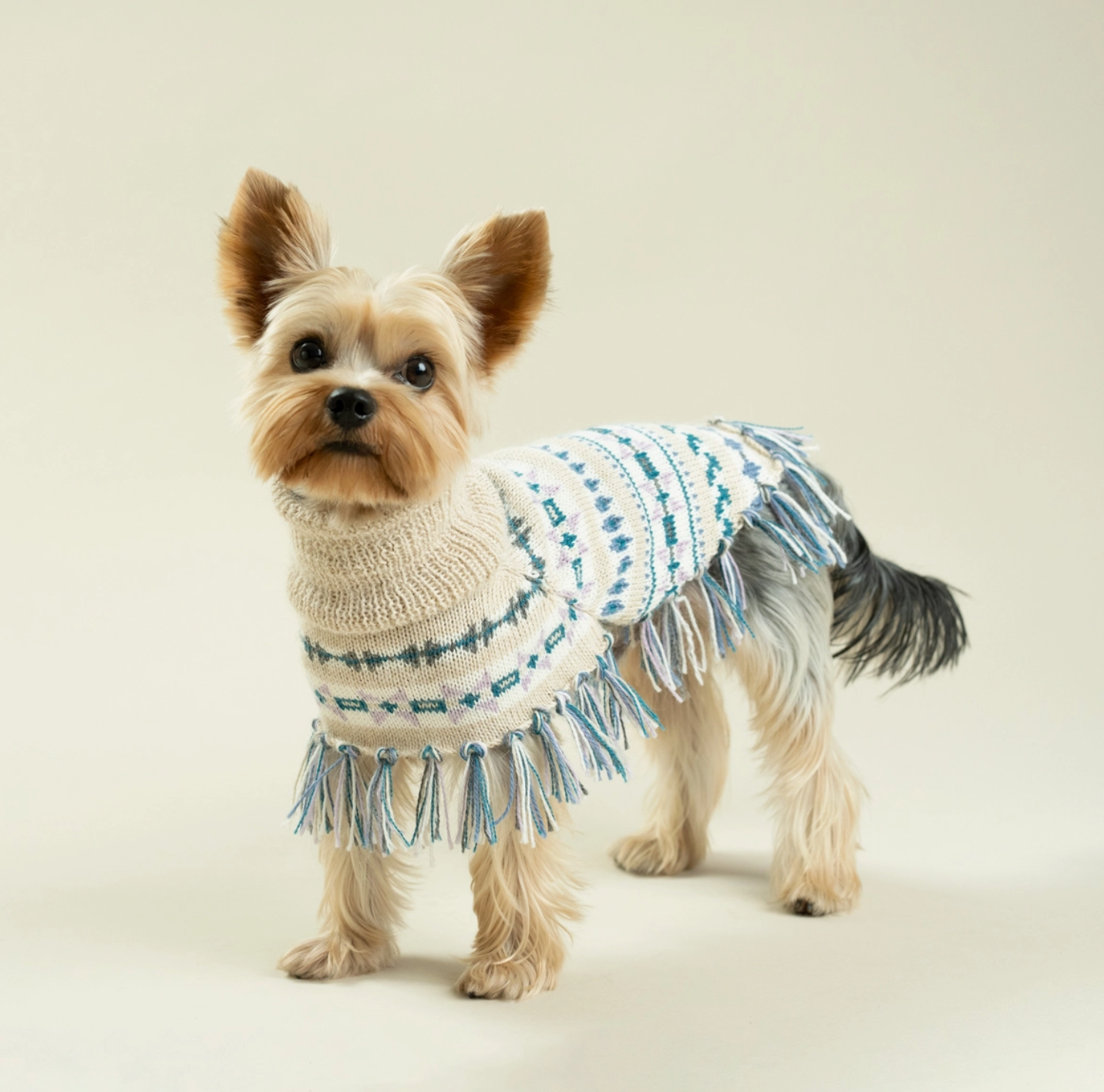 Serendipity Dog Poncho