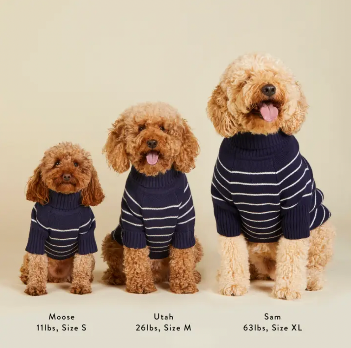 Mariner Stripe Dog Sweater