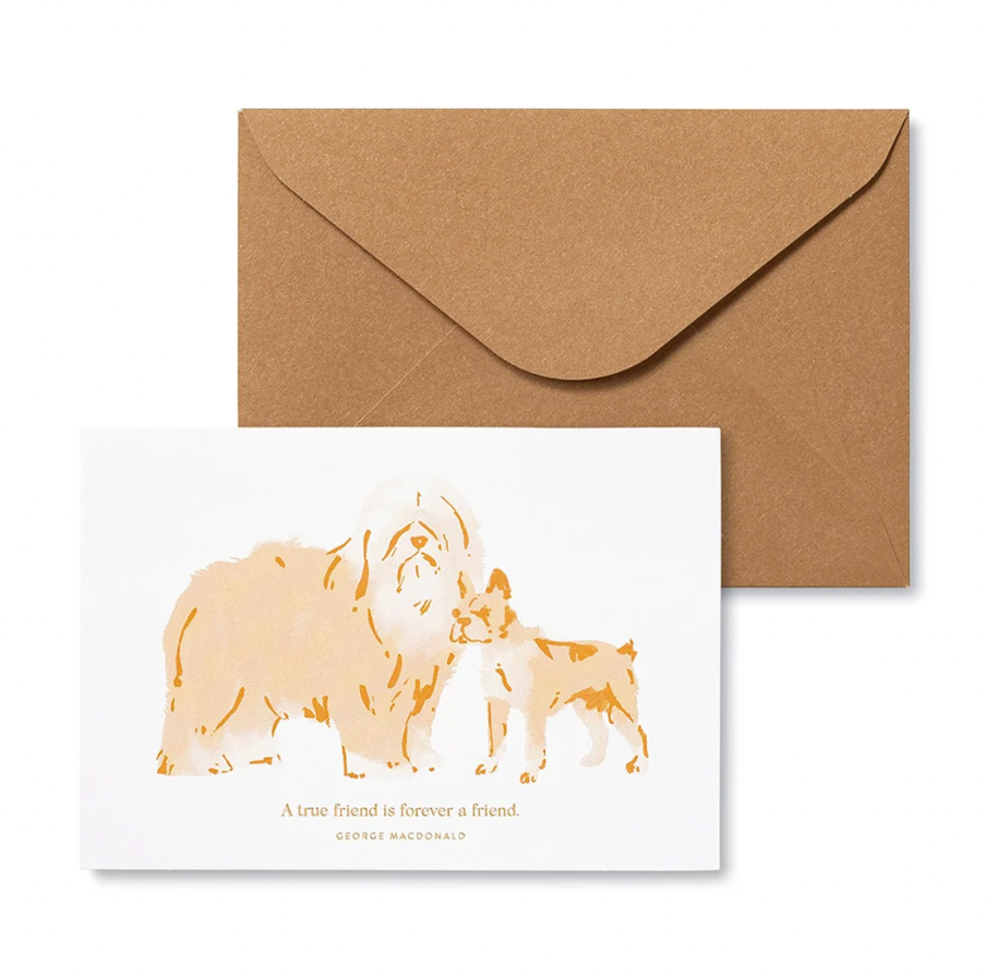 Notecard Set