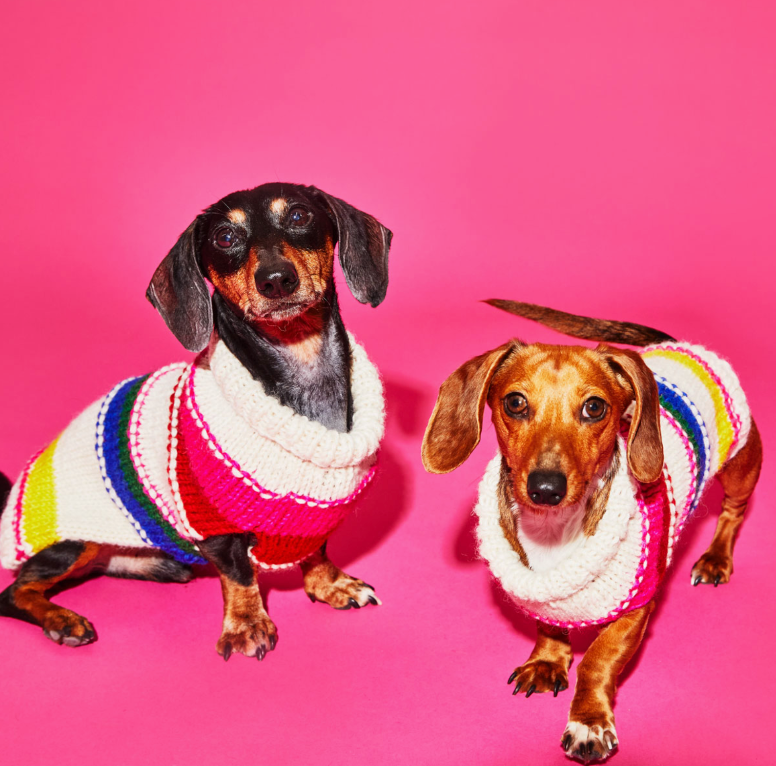 Neon Striped Turtleneck