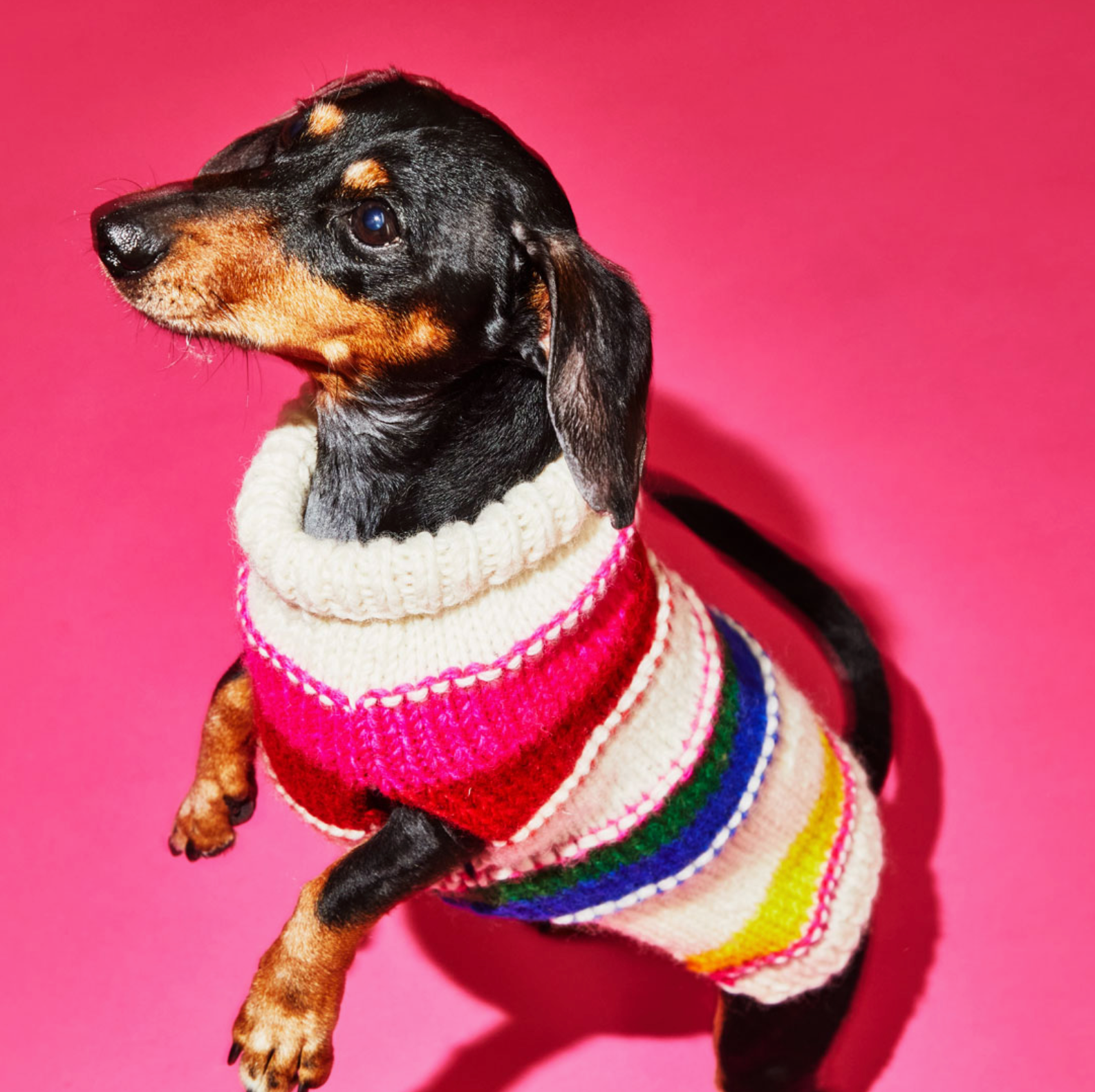 Neon Striped Turtleneck