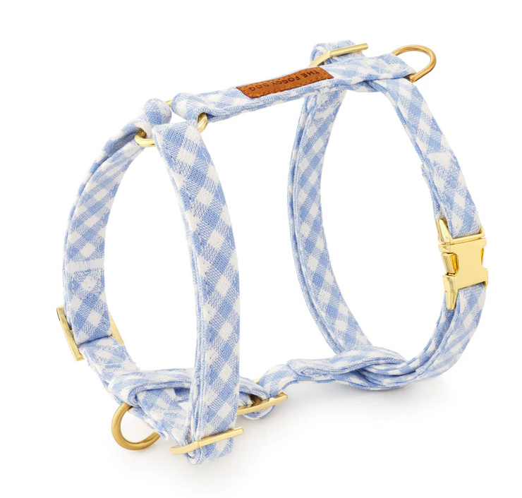 Foggy Dog Harness