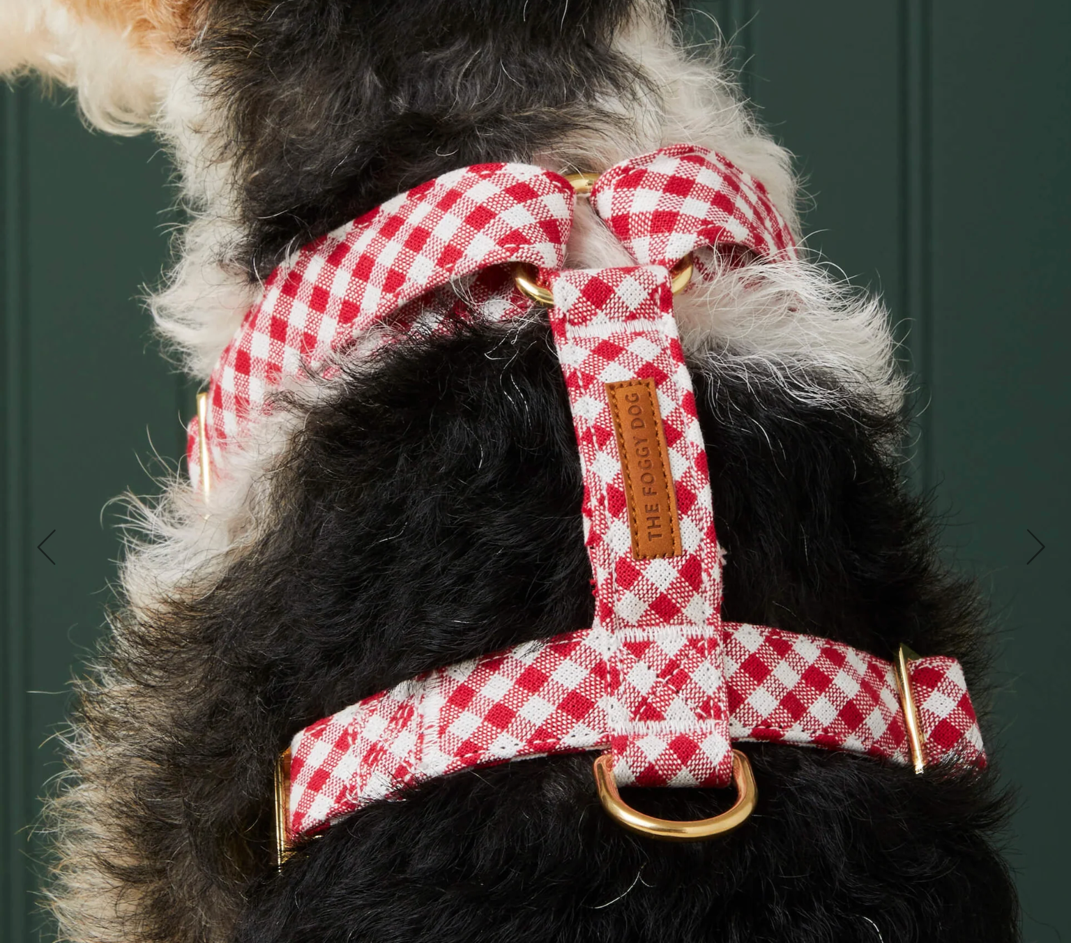 Foggy Dog Harness