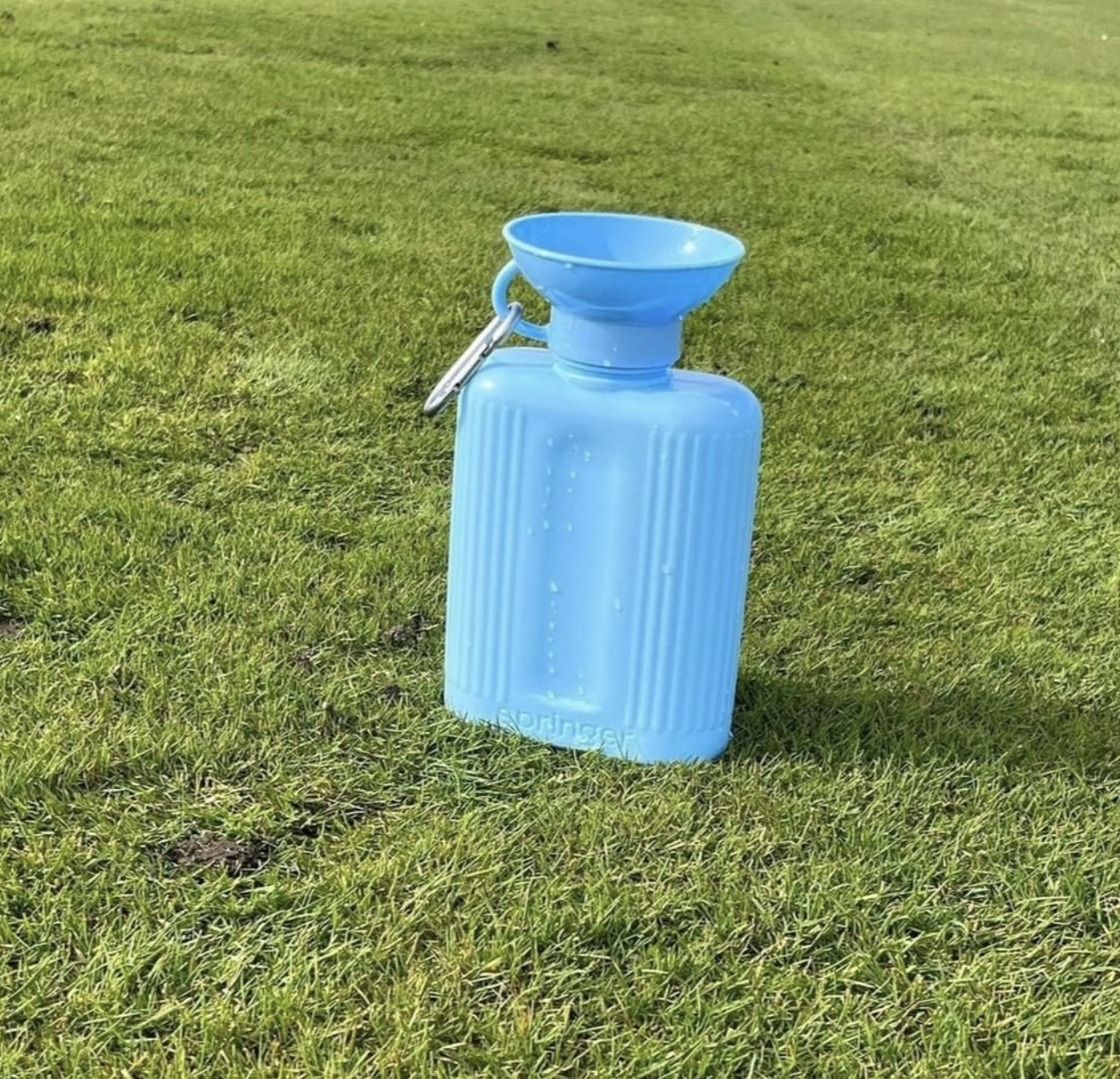 Springer Growler Dog Travel Bottle Blue